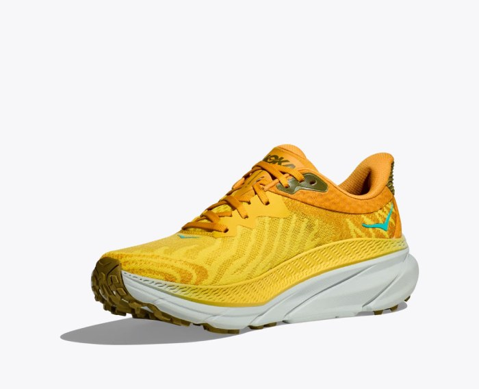 HOKA challenger 7 | נעלי הוקה צ'אלנג'ר