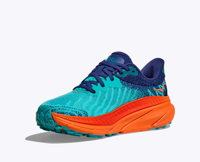 HOKA challenger 7 | נעלי הוקה צ'אלנג'ר