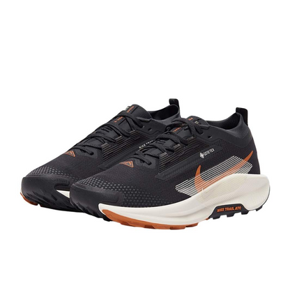 Nike Running Shoes | Nike Pegasus Trail 5 GORE-TEX Black/Pale Ivory