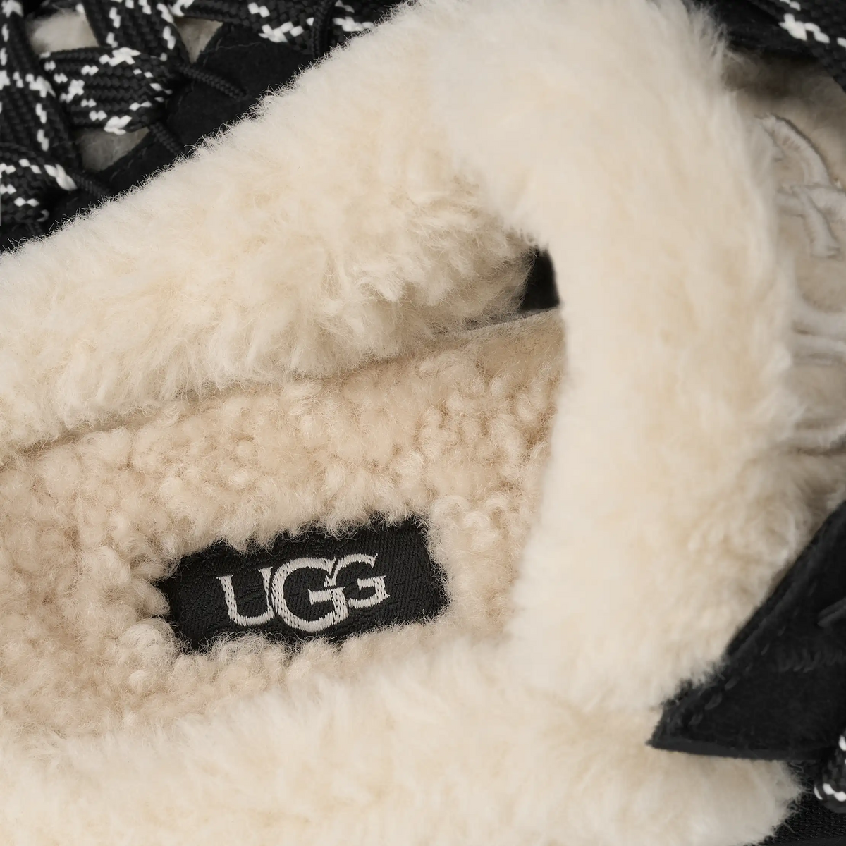 UGG Lowmel Mule Black