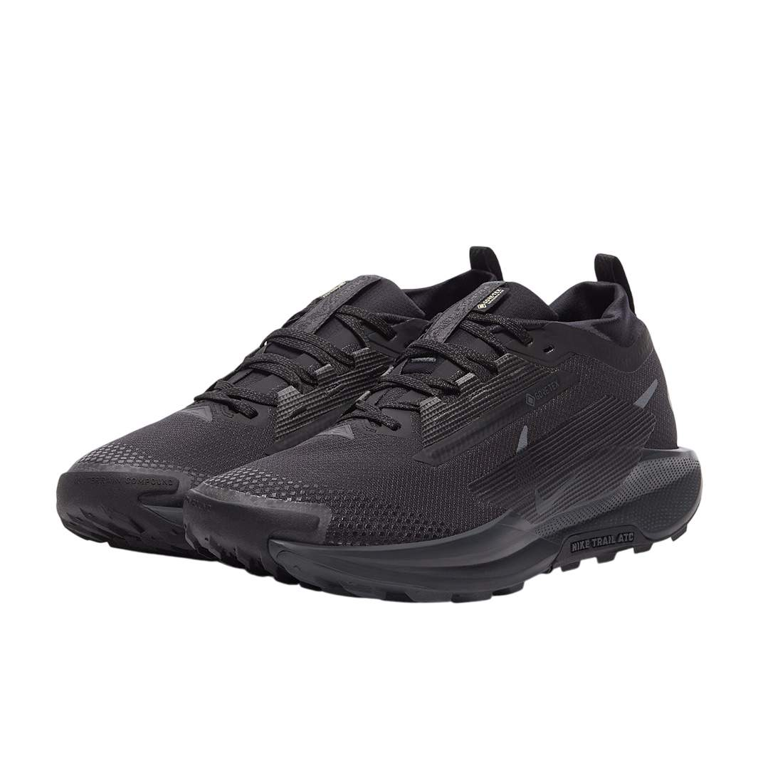 Nike Running Shoes | Nike Pegasus Trail 5 GORE-TEX Black
