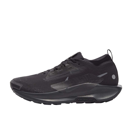 Nike Running Shoes | Nike Pegasus Trail 5 GORE-TEX Black